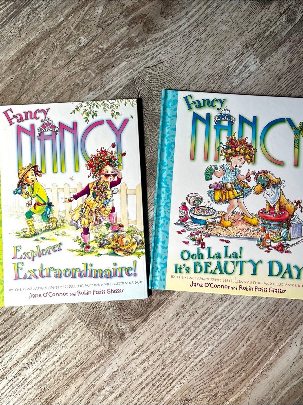 Fancy Nancy Children's Book Lot -